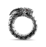 Anel redondo ouroboros