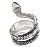 Anel serpente aço