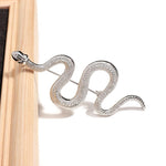 Broche serpente prata